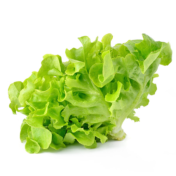 F2093cc3 de4e 4587 90dd c79aa7a37e00